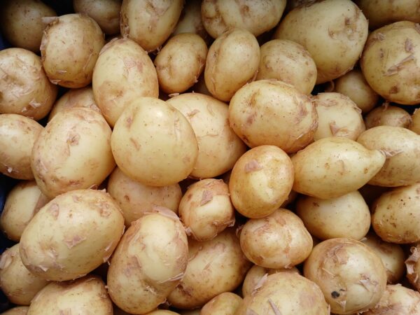 Pommes de terre nouvelles bio 1.50 € 250g